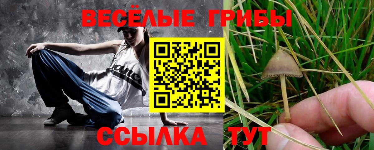 Псилоцибиновые грибы Magic Shrooms  Галлюциногенные грибы MAGIC MUSHROOMS  Вход с VPN  Костомукша 